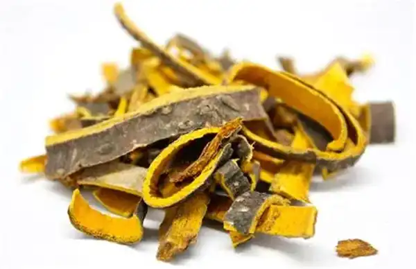 Can Cortex Phellodendri Powder Improve Digestive Health?